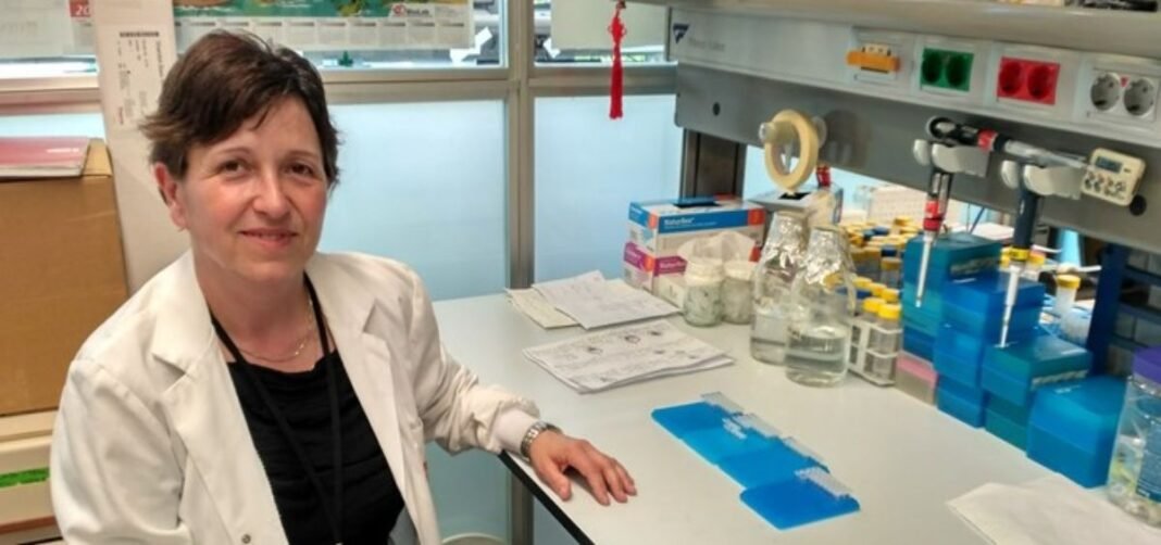 Anna Bigas, nueva directora científica del Ciber de Cáncer