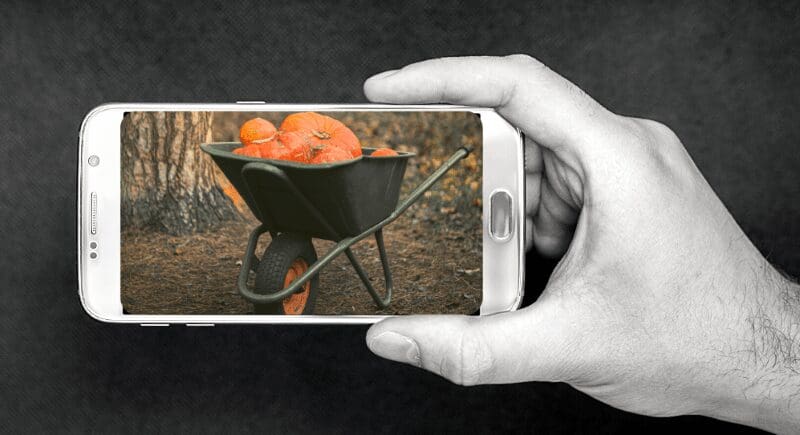 La carretilla y el iPhone