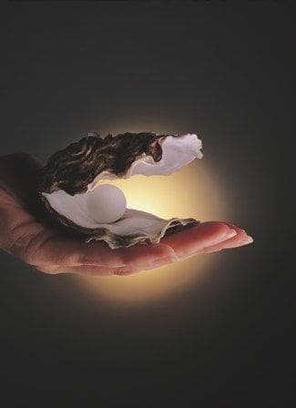 Soluciona tus conflictos encontrando el equilibrio