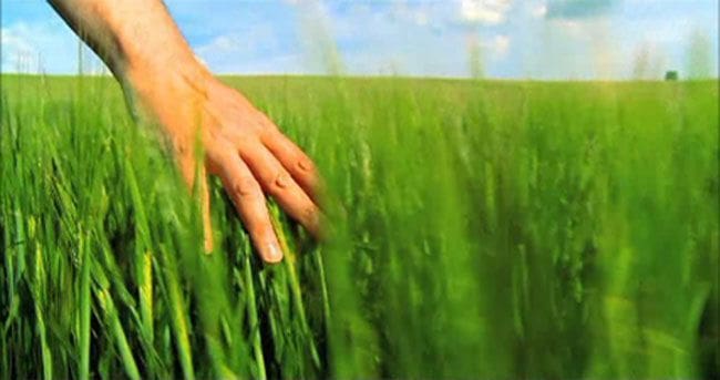 Tragsa y Telefónica colaboran para implantar nuevas tecnologías