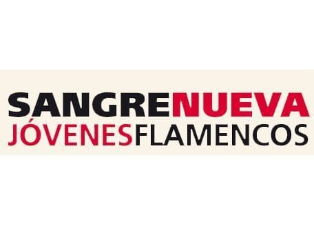 Jóvenes Flamencos