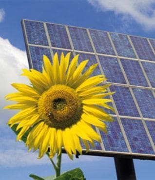 La energía verde ya emplea a 400 mil personas