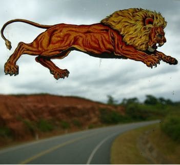 La ciudad es una selva