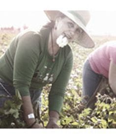Es necesario reconocer la labor de las mujeres rurales