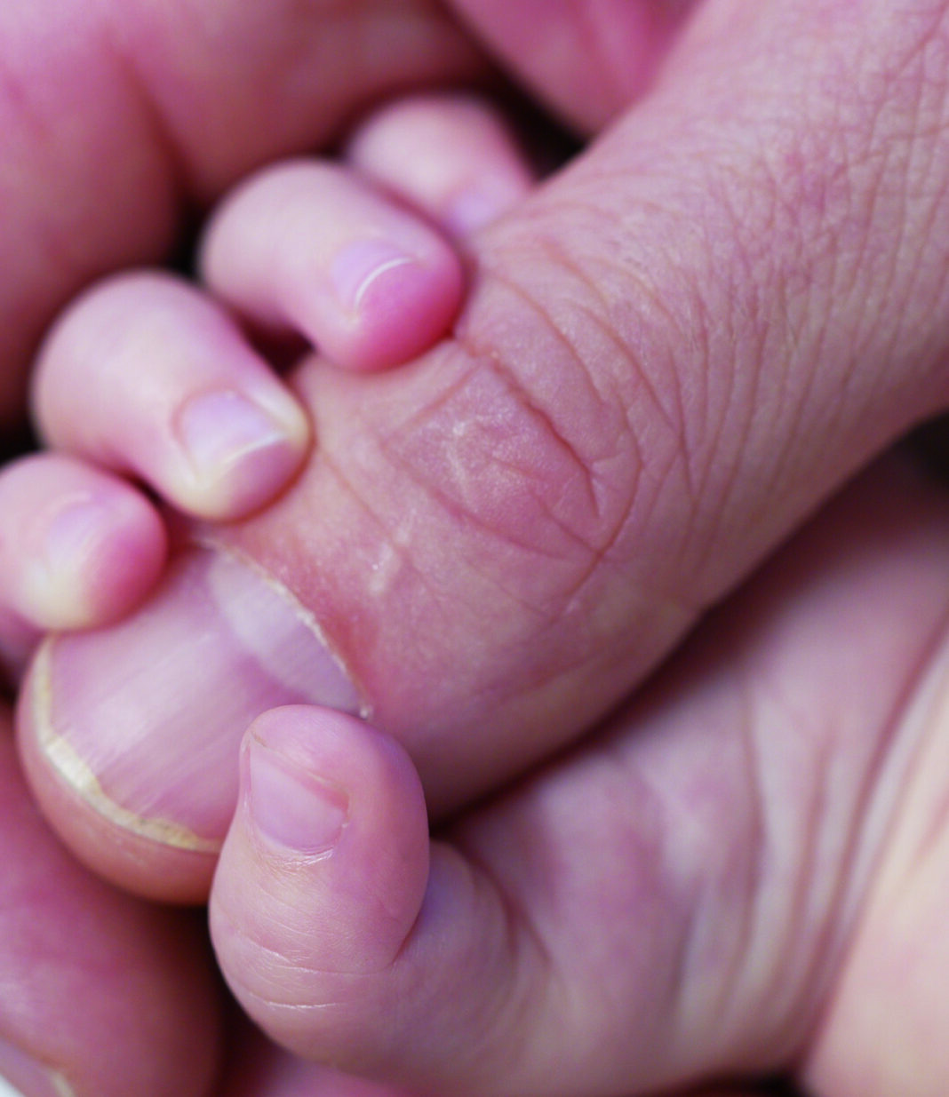 Permisos de paternidad: Llegan hasta 30 días