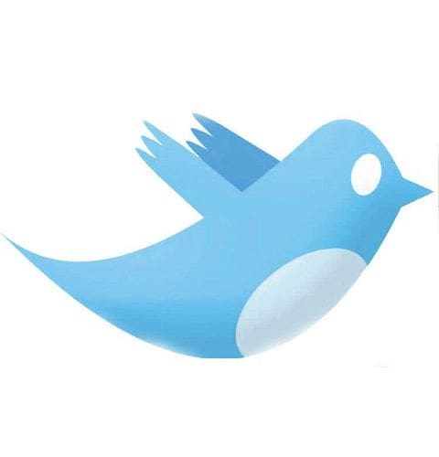Las 5 claves para triunfar en Twitter