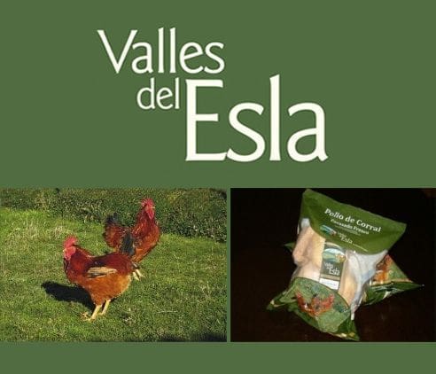 Valles del Esla recupera los sabores tradicionales del campo en sus pollos de corral