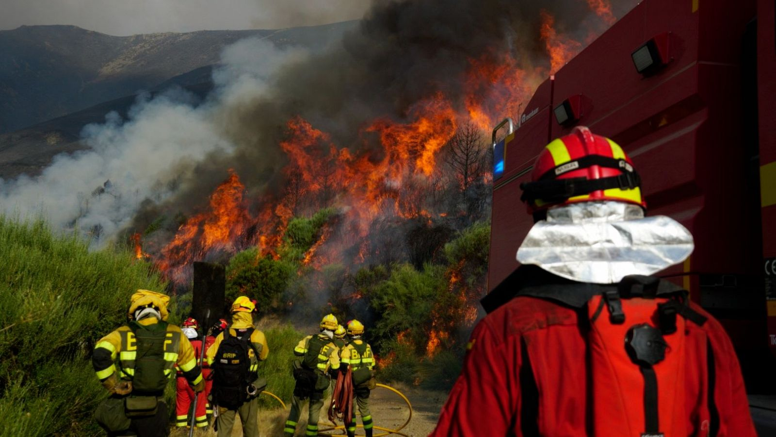 Cristina Aponte (CSIC): "Los incendios forestales no son solo un problema del verano"