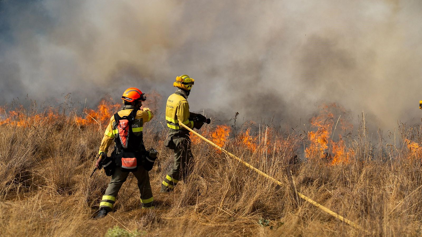 Cristina Aponte (CSIC): "Los incendios forestales no son solo un problema del verano"