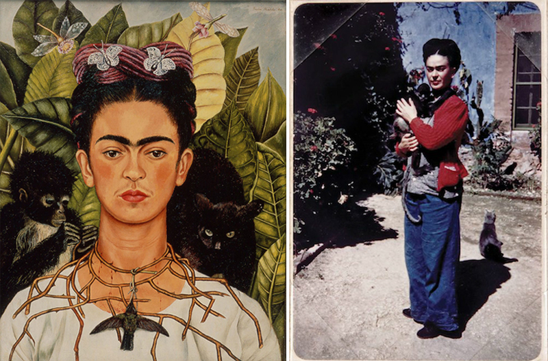 Día del Gato: Mujeres que encontraron inspiración en sus felinos